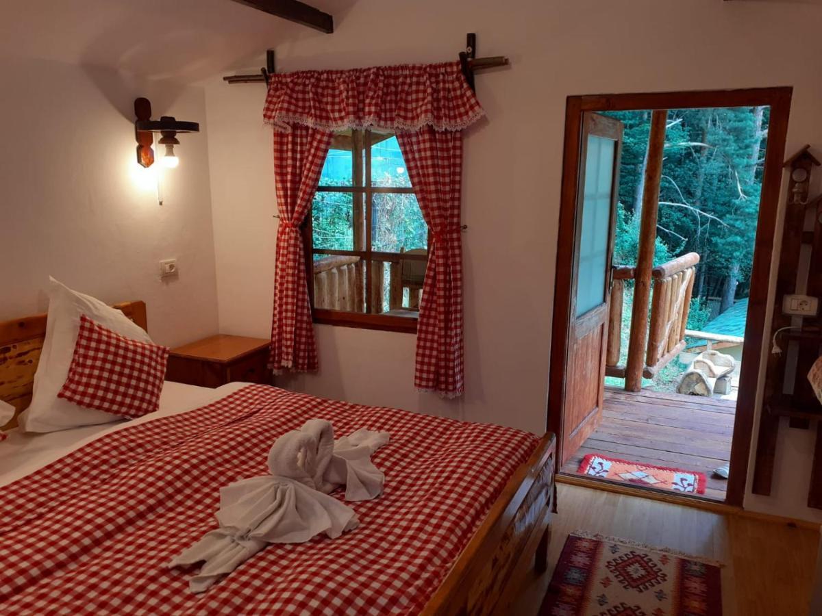 Cabanute Si Camping Dracula Capatineni-Paminteni 외부 사진