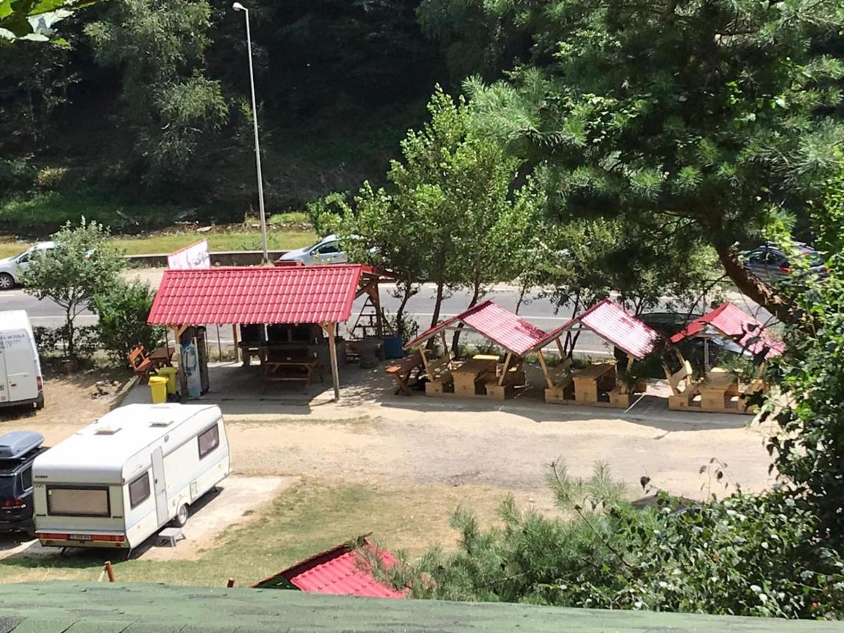 Cabanute Si Camping Dracula Capatineni-Paminteni 외부 사진
