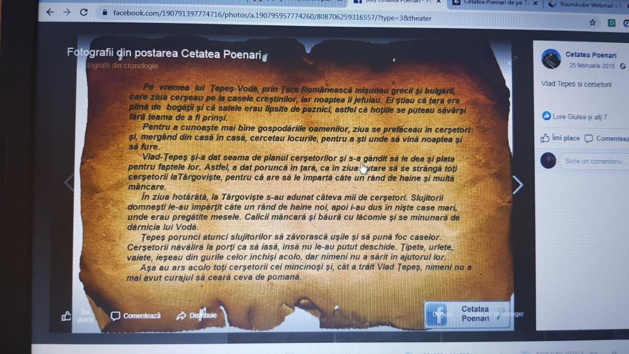 Cabanute Si Camping Dracula Capatineni-Paminteni 외부 사진