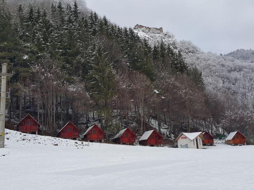 Cabanute Si Camping Dracula Capatineni-Paminteni 외부 사진