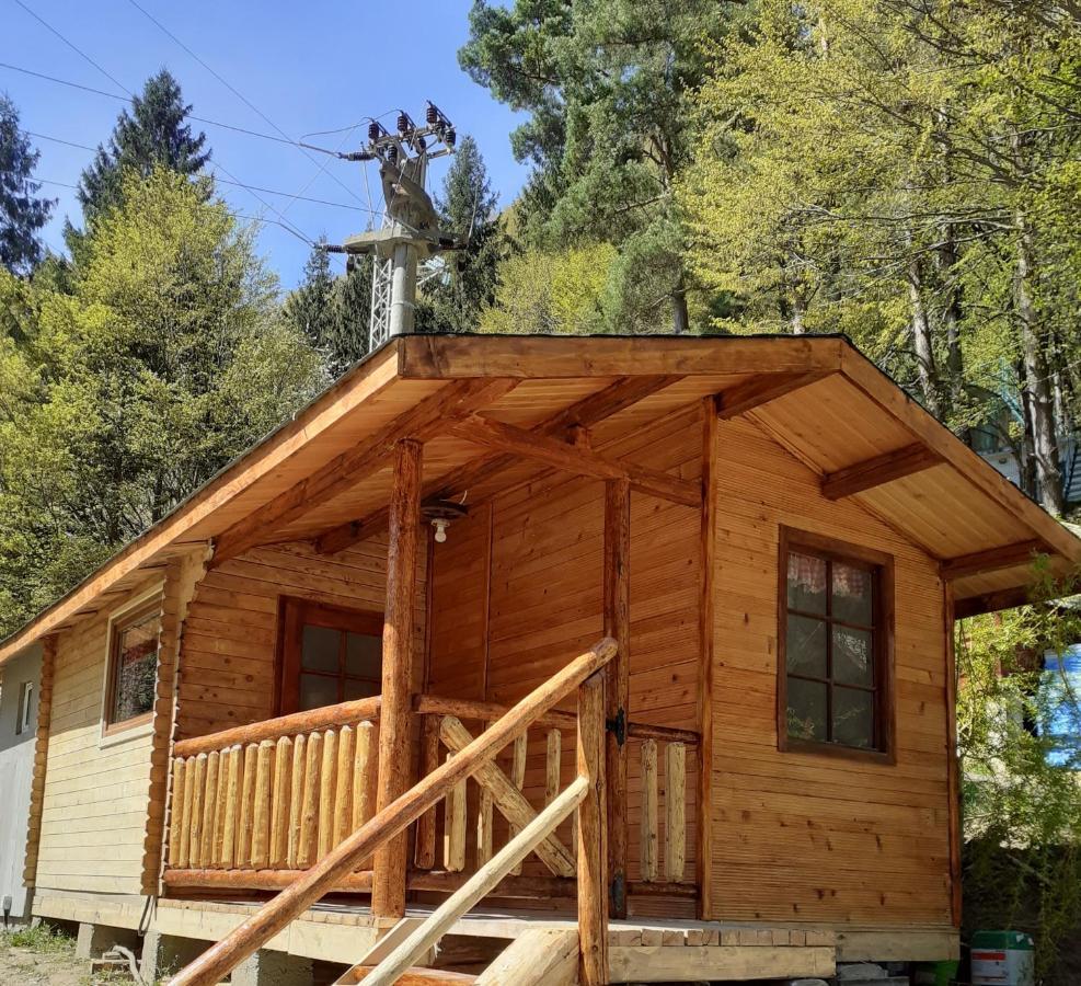 Cabanute Si Camping Dracula Capatineni-Paminteni 외부 사진